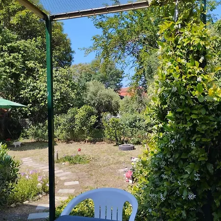 Summer House Apartman